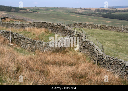 Les murs de pierres sèches sur Croasdale tomba, forêt de Bowland, Lancashire, UK Banque D'Images