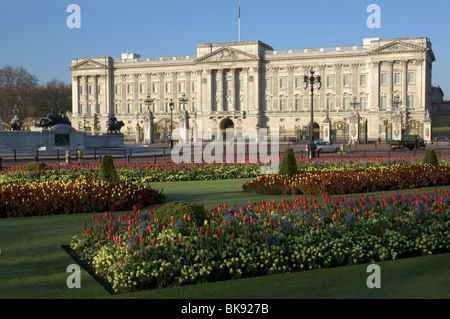 Le palais de Buckingham Banque D'Images