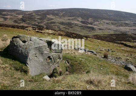 Millstone Grit Boulder sur Croasdale tomba, forêt de Bowland, Lancashire, UK Banque D'Images