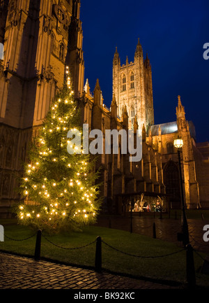 Avec blocage de l'arbre de Noël et crèche de Noël à la Cathédrale de Canterbury dans le Kent, UK. Banque D'Images