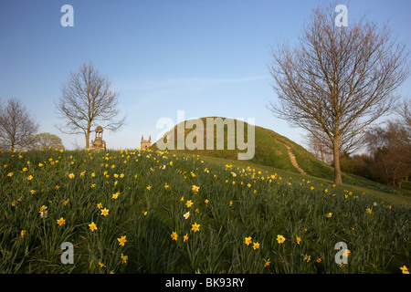 Dundonald douves ou motte homme fait colline artificielle pour un fort, comté de Down en Irlande du Nord uk Banque D'Images