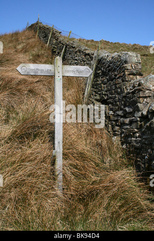 Voie Romaine Hornby, marqueur à Croasdale forêt de Bowland, Lancashire, UK Banque D'Images