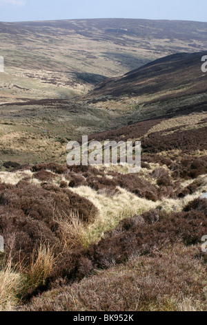 Paysage de lande à Croasdale tomba, forêt de Bowland, Lancashire, UK Banque D'Images