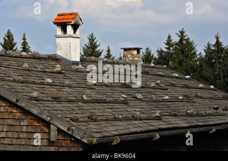 Agiter, toit et cheminée de pierres pour le peser vers le bas, Glentleiten musée agricole, Bavaria, Germany, Europe Banque D'Images