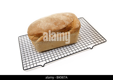 Pain maison sur grille de refroidissement, Fond blanc Banque D'Images