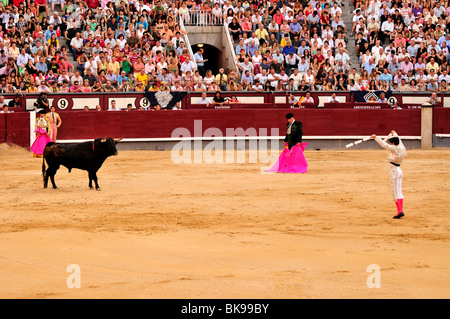 Corrida dans les arènes de Las Ventas, Madrid, Espagne, Péninsule ibérique, Europe Banque D'Images