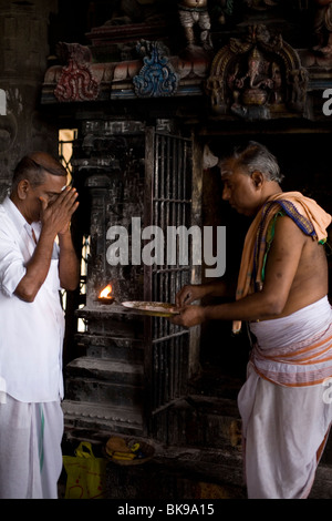 Un prêtre d'un culte au temple de Murugan, rituel donne des bénédictions à pèlerins à Swamimalai, Inde Banque D'Images