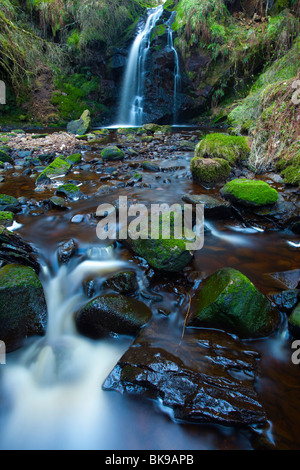 En Angleterre, Northumberland, Hindhope Linn. Hindhope Linn, une cascade le long de l'Blakehope brûler Banque D'Images