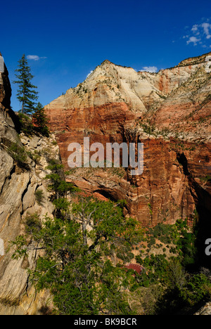 Vue panoramique sur la région de Hidden Canyon Zion National Park, Utah, USA Banque D'Images