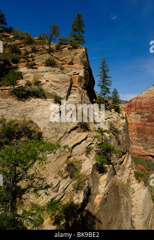 Paysage de la falaise de Hidden Canyon Zion National Park, Utah, au sud-ouest des Etats-Unis, United States. Banque D'Images