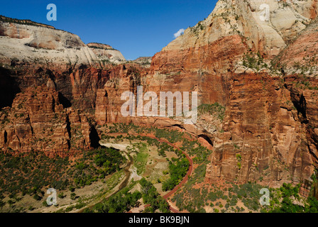 Vue panoramique de l'Orgue de Zion National Park, Utah, USA Banque D'Images