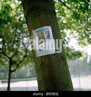 Affiche pour un chien manquant fixée à un arbre de Highbury, Londres Banque D'Images