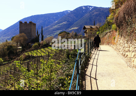 La ville de Merano, Alpes italiennes Banque D'Images