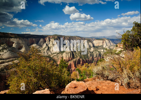 Vue panoramique sur le Canyon Zion de point d'observation dans la région de Zion National Park, Utah, USA Banque D'Images