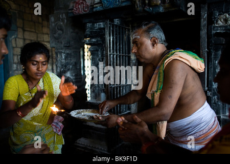 Un prêtre d'un culte au temple de Murugan, rituel donne des bénédictions à pèlerins à Swamimalai, Inde Banque D'Images