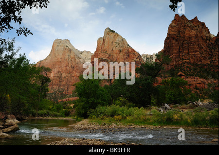 Vue panoramique sur la Cour des patriarches à Zion National Park, Utah, USA Banque D'Images