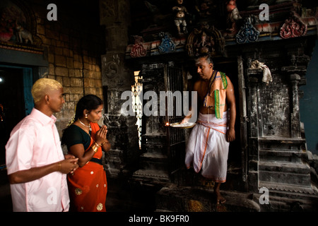 Un prêtre d'un culte au temple de Murugan, rituel donne des bénédictions à pèlerins à Swamimalai, Inde Banque D'Images