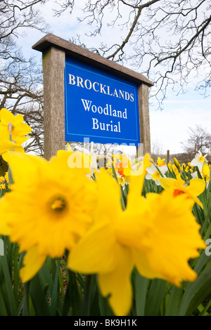 Brocklands sépulture forestiers à l'arrêt Wigglesworth, Lancashire, Royaume-Uni. Banque D'Images