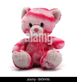 Peluche peluche chat Banque D'Images