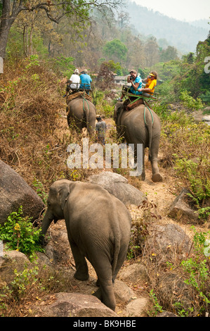 Mae Tang Tours tour d'éléphant dans les régions rurales de la province de Chiang Mai, Thaïlande. Banque D'Images