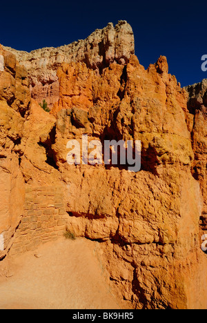 Vue panoramique sur Bryce Canyon de boucle Navajo, Utah, USA Banque D'Images