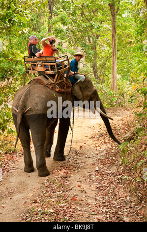 Visiteurs on tour d'éléphant au niveau national Thai Elephant Conservation Centre, Lampang, la province de Chiang Mai, Thaïlande. Banque D'Images