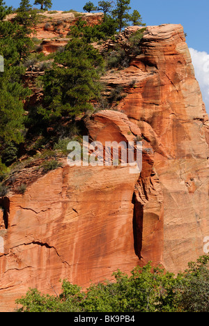 Pointe Rocheuse de Angels Landing dans Zion National Park, Utah, USA Banque D'Images