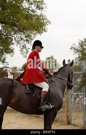 Chasseur à cheval Banque D'Images