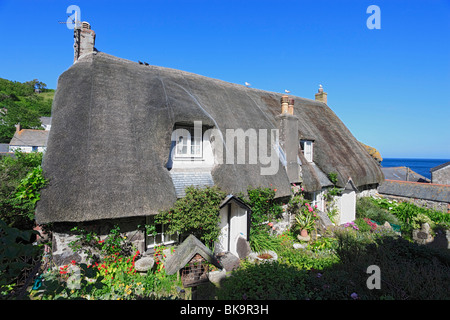 Cottage, Cadgwith, Péninsule du Lézard, Cornwall, Angleterre, Royaume-Uni Banque D'Images