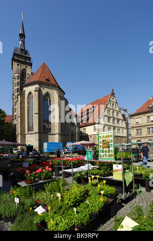 Marché aux fleurs de la Schillerplatz, collégiale en arrière-plan, Stuttgart, Bade-Wurtemberg, Allemagne Banque D'Images