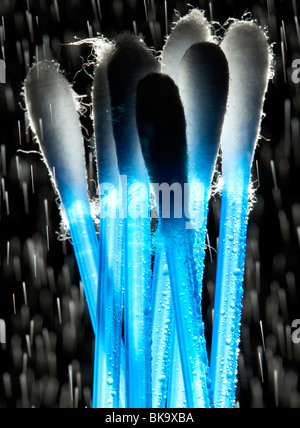 Close up of cotton buds Banque D'Images