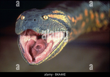 Serpent ANACONDA -1997 Banque D'Images