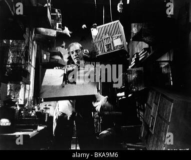 Le Birdman of Alcatraz (1962) Burt Lancaster BOA 003P Banque D'Images