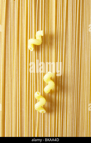 Composition des pâtes spaghetti,et cellentani Banque D'Images