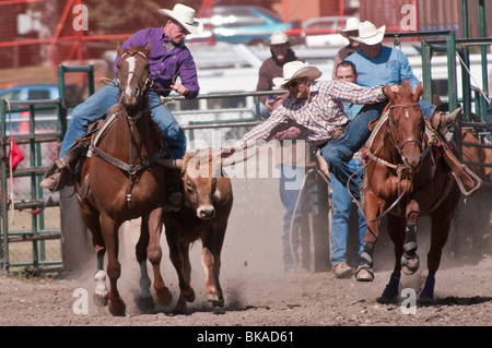 Steer wrestling, l'équipe de rodéo, Cochrane Cochrane, Alberta, Canada Banque D'Images