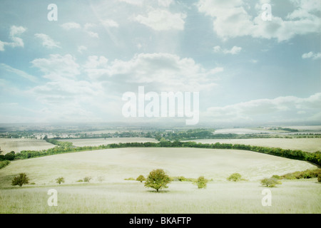 Les champs de l'anglais dans l'été Banque D'Images