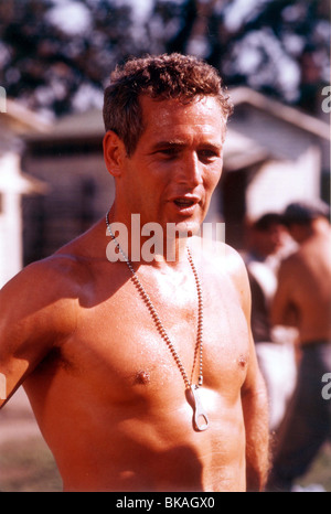 COOL HAND LUKE PAUL NEWMAN CHLK 003CP Banque D'Images