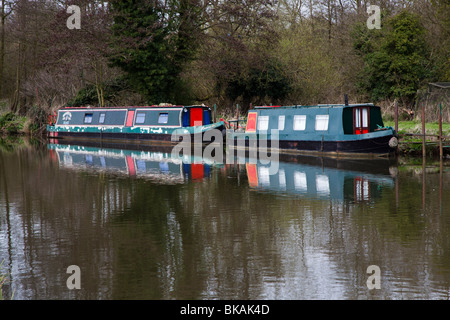 Deux péniches étroites attaché sur la voie navigable wey surrey Banque D'Images