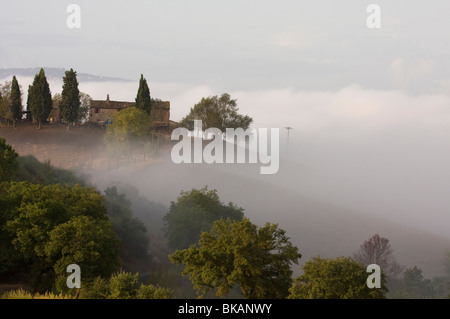 Tôt le matin, brouillard à la Toscane, Italie Banque D'Images