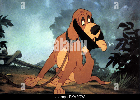 LE RENARD ET LE CHIEN COURANT (ANI - 1981) CRÉDIT D'ANIMATION DISNEY FATH 008FOH MOVIESTORE COLLECTION LTD Banque D'Images