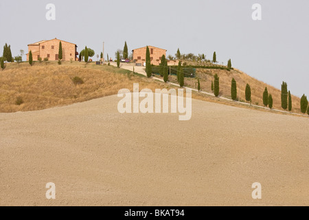 Automne en Toscane, Italie Banque D'Images