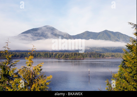 Tofino la Réserve de parc national Pacific Rim, l'île de Vancouver, Colombie-Britannique, Canada Banque D'Images