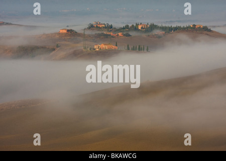 Tôt le matin, brouillard à la Toscane, Italie Banque D'Images