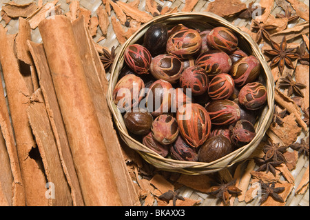 Épices : muscade, le macis, cannelle et anis dans le panier tissé à partir de feuilles de cocotier par artisan local Sainte-lucie Caraïbes Banque D'Images