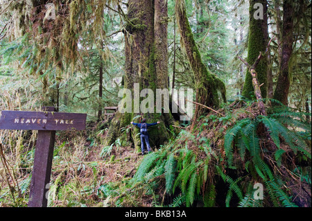 La forêt ancienne dans le parc provincial de la Carmanah Walbran, île de Vancouver, Colombie-Britannique, Canada Banque D'Images