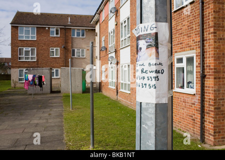 Une affiche d'un 'Staff' chien sur un lampadaire dans une résidence. Banque D'Images