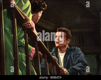 REBEL WITHOUT A CAUSE (1955) ANN DORAN, JAMES DEAN RWC 002CP Banque D'Images