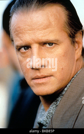 Actor Christophe Lambert poses during a portrait session in Paris