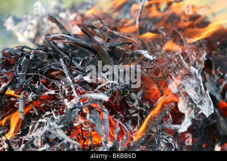 Près d'un feu de jardin Banque D'Images