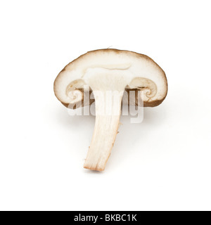 Matières premières tranches de champignons shiitake isolés contre fond blanc. Banque D'Images